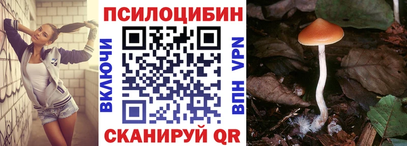 цена наркотик  blacksprut ССЫЛКА  Галлюциногенные грибы мицелий  Старица 